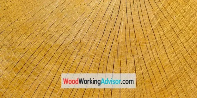 Quarter sawn oak end grain close-up