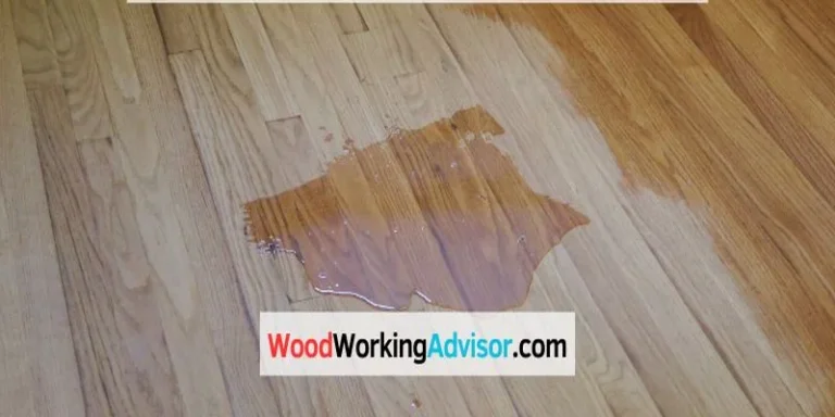 Urine stain spot on a hardwood floor
