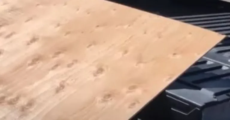 A 4x8 plywood sheet loaded flat into a pickup truck bed for transport
