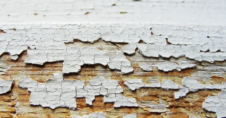 Cracked, peeling white paint on bare wood showing where old cabinet paint has lifted