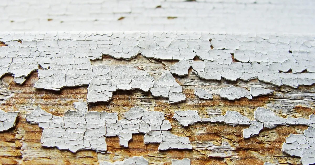 Cracked, peeling white paint on bare wood showing where old cabinet paint has lifted