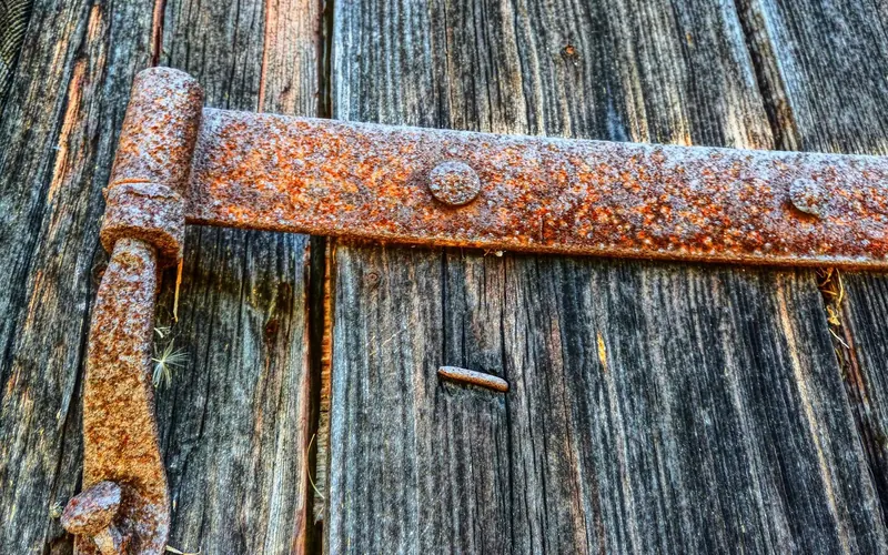 Rusty strap hinge on a weathered wooden door showing the long leaf and barrel Rusty strap hinge on a weathered wooden door showing the long leaf and barrel