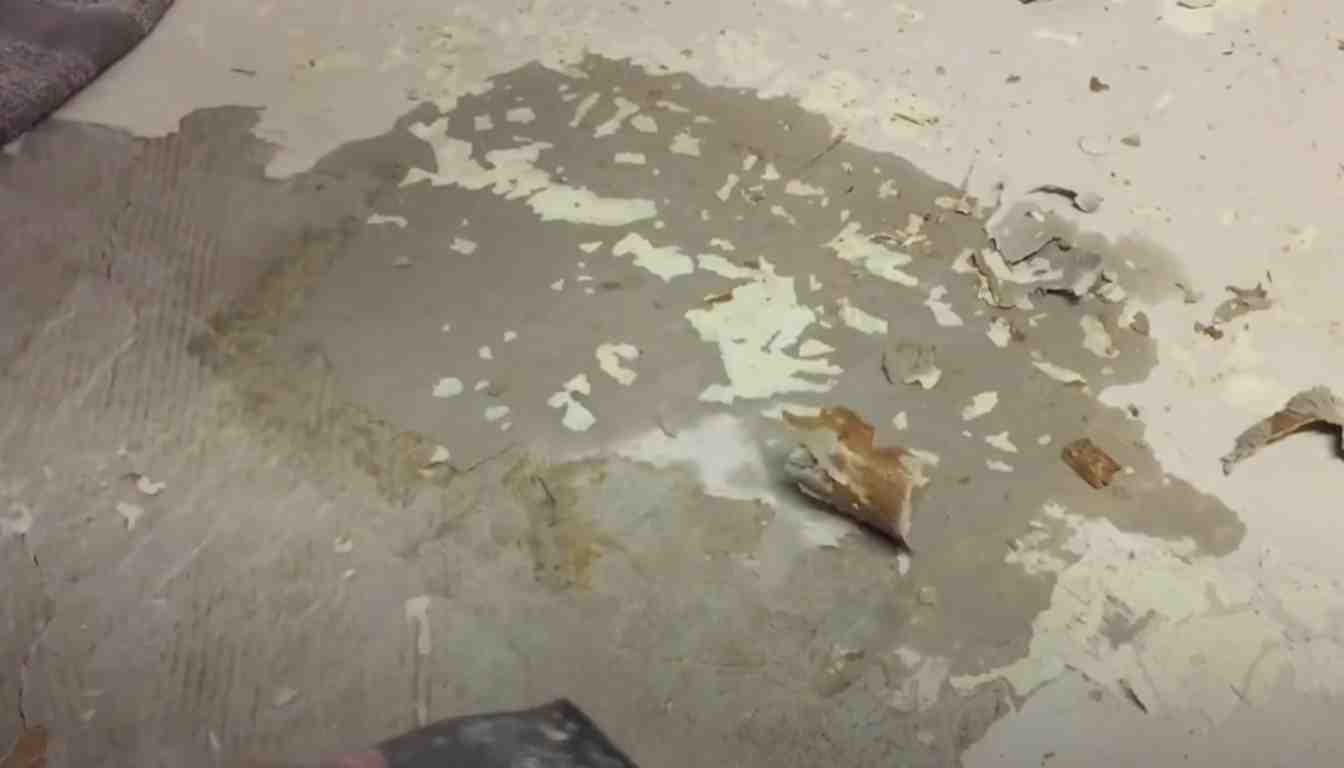 Adhesive Remover Vinyl Floor