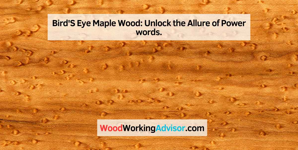 Bird'S Eye Maple Wood