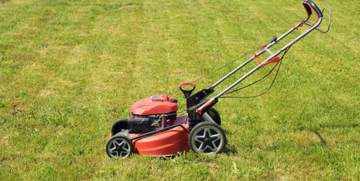 Bush Hog vs. Finish Mower