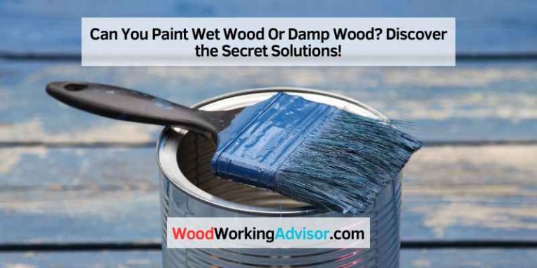 Can You Paint Wet Wood Or Damp Wood