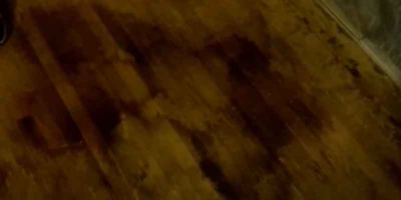 How To Easily Eliminate Black Urine Stains From Hardwood Floors