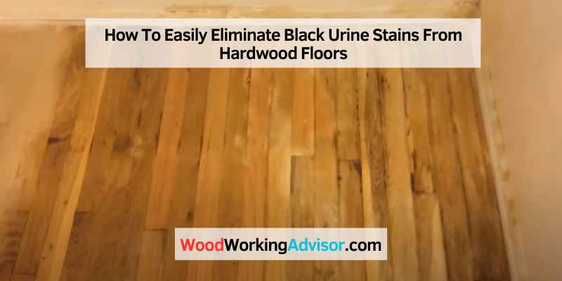 How To Easily Eliminate Black Urine Stains From Hardwood Floors