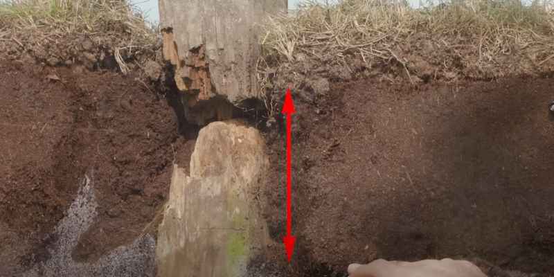 How To Prevent Wood From Rotting The Ground