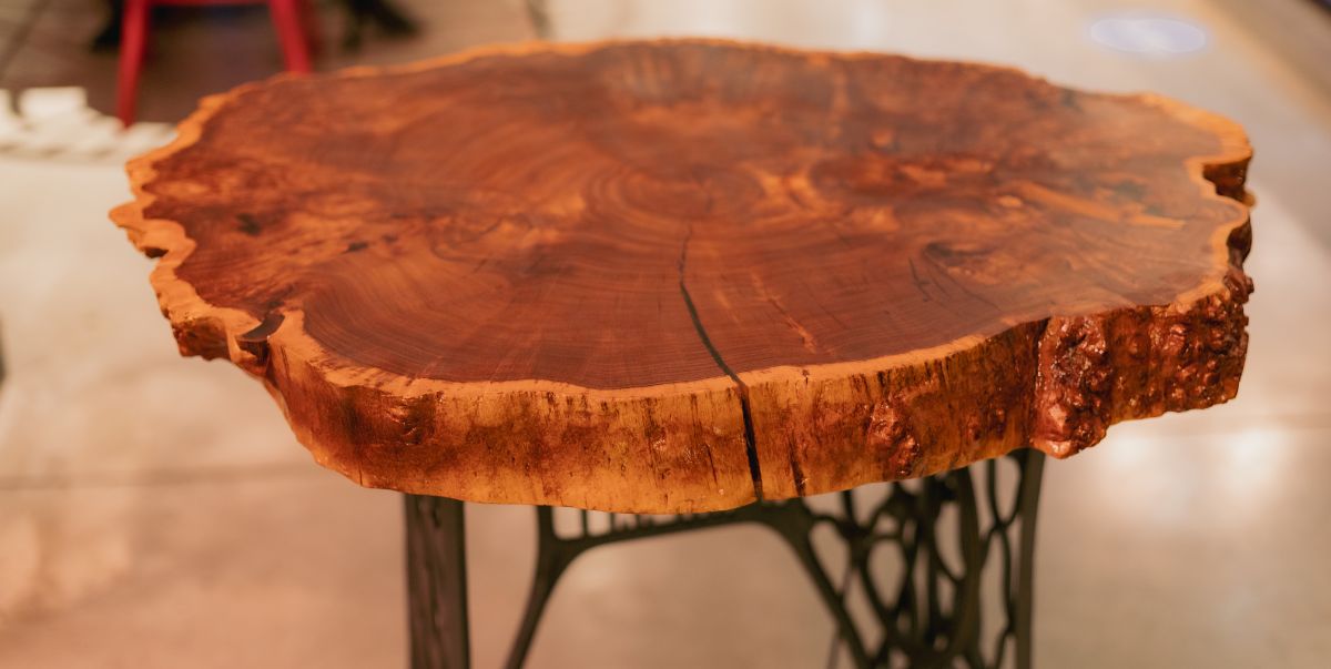 How to Craft a Stunning Live Edge Table With Bark