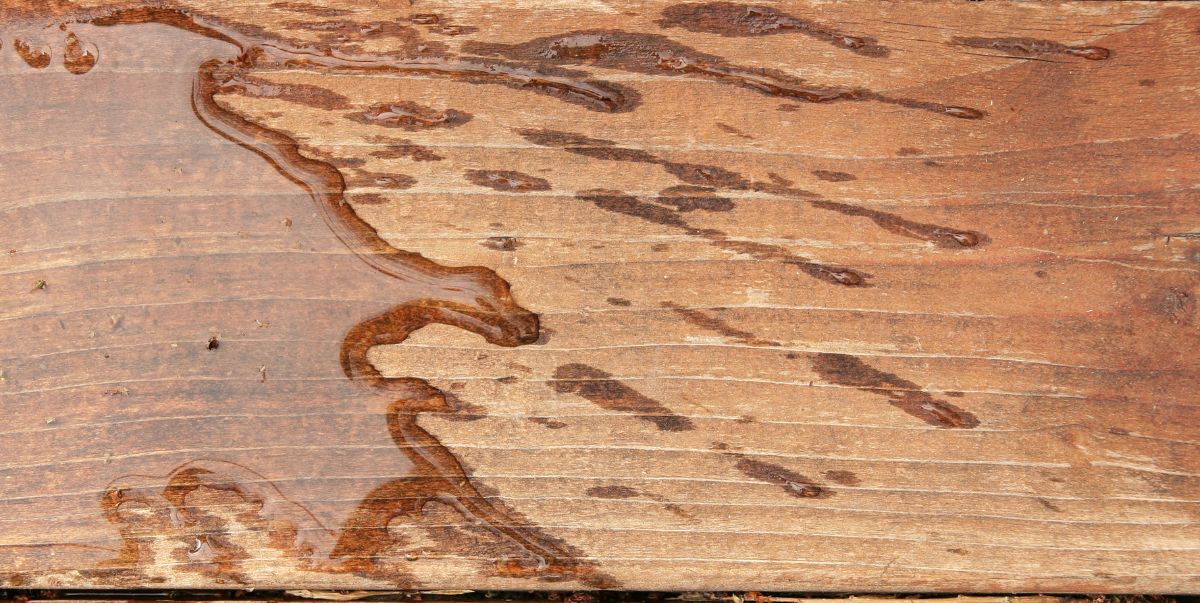 How to Safeguard Wood for Water