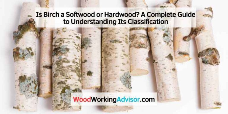 Is Birch a Softwood or Hardwood