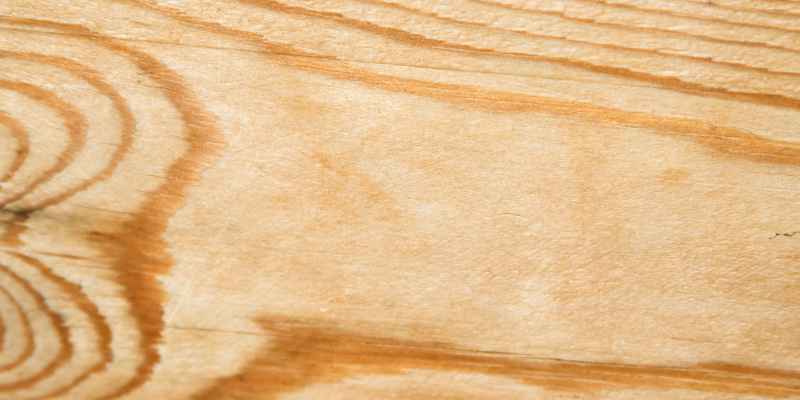 Is Cedar A Hardwood Or Softwood