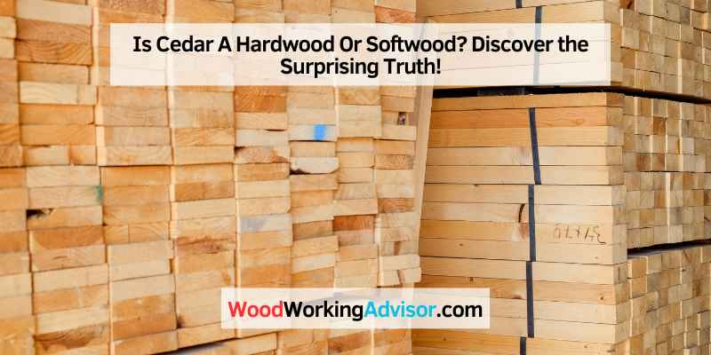 Is Cedar A Hardwood Or Softwood