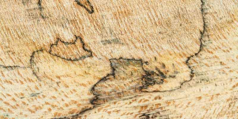 Is Sycamore A Hardwood