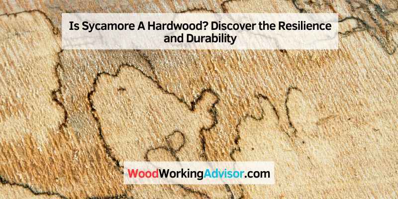 Is Sycamore A Hardwood