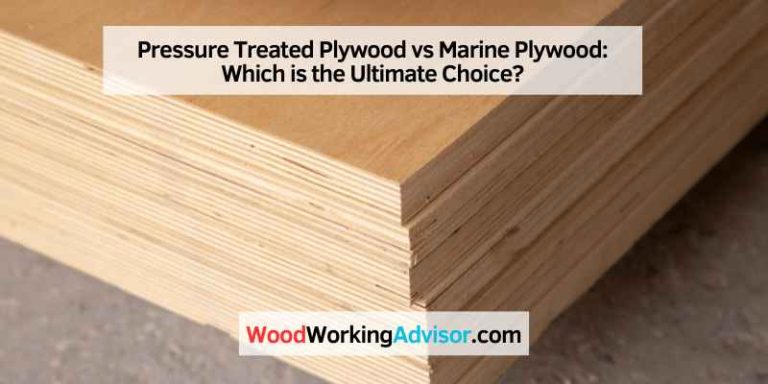 Pressure Treated Plywood vs Marine Plywood