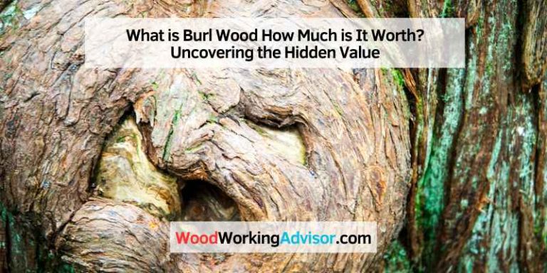 What is Burl Wood How Much is It Worth