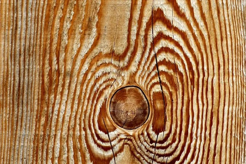 Close-up of bare pine grain with a knot, showing the natural wood color under any stain