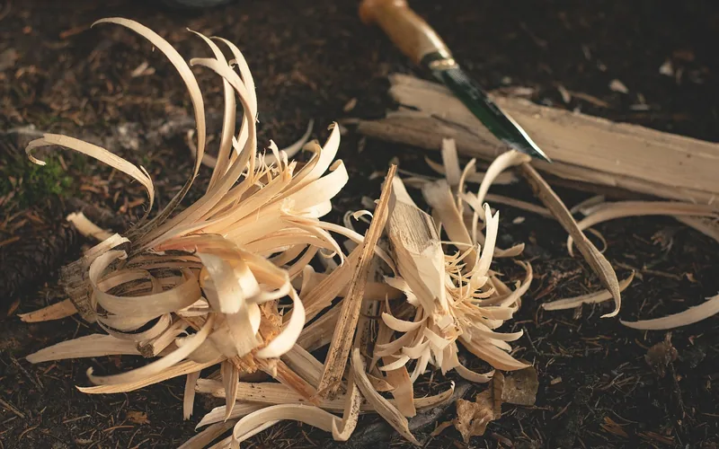 curled feather stick shavings and a carving knife used to prepare dry tinder curled feather stick shavings and a carving knife used to prepare dry tinder
