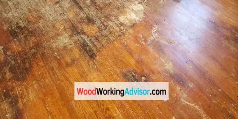 Urine-stained hardwood floor before cleaning