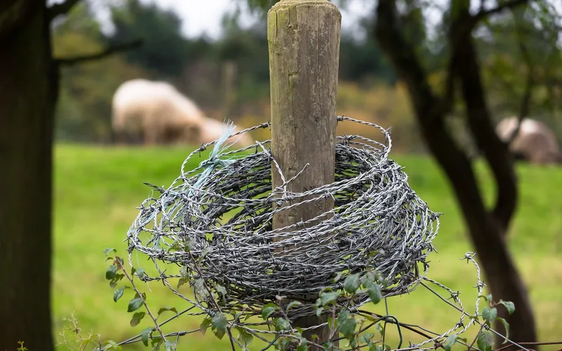 Metal fence post installed in a pasture fence line