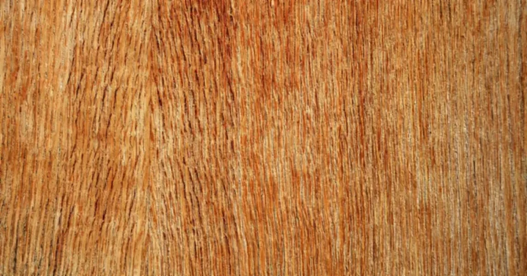 Close-up of plywood face veneer grain showing the layered wood surface