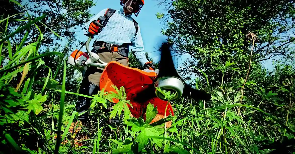 Person using a Stihl battery-powered string trimmer to cut tall grass