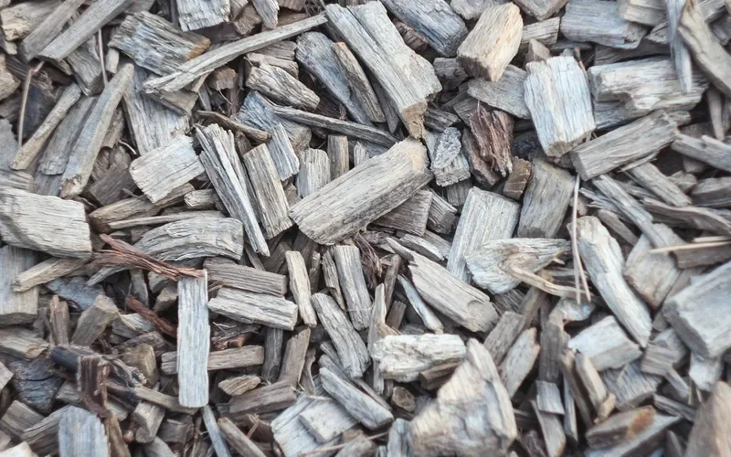 Pile of fresh hardwood chips produced by a branch chipper