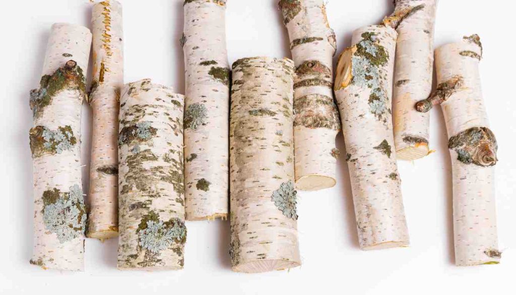 Acacia Vs Birch Wood