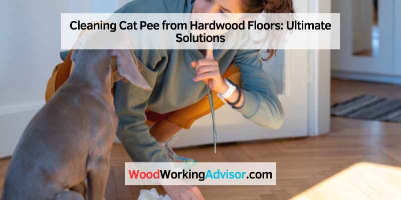 Cleaning Cat Pee from Hardwood Floors