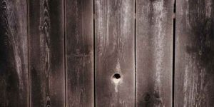 How Long Will Charred Wood Last in the Ground