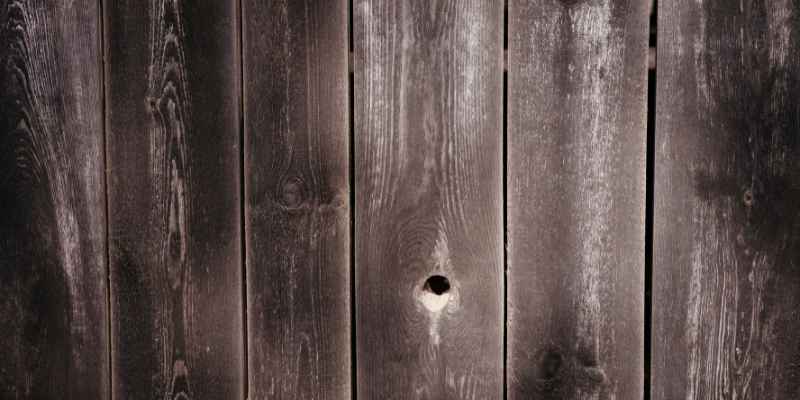 How Long Will Charred Wood Last in the Ground