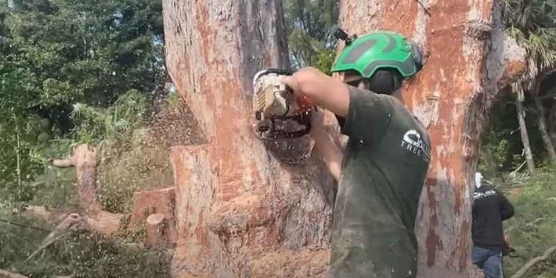 How To Cut Ironwood Like A Pro