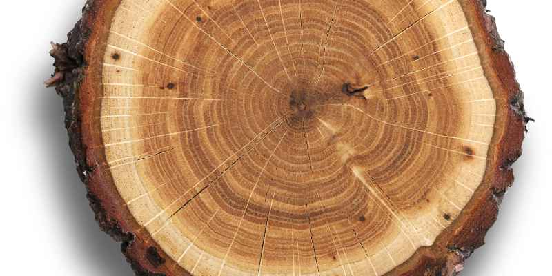 What Does Walnut Wood Smell Like