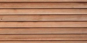 White Cedar Versus Red Cedar