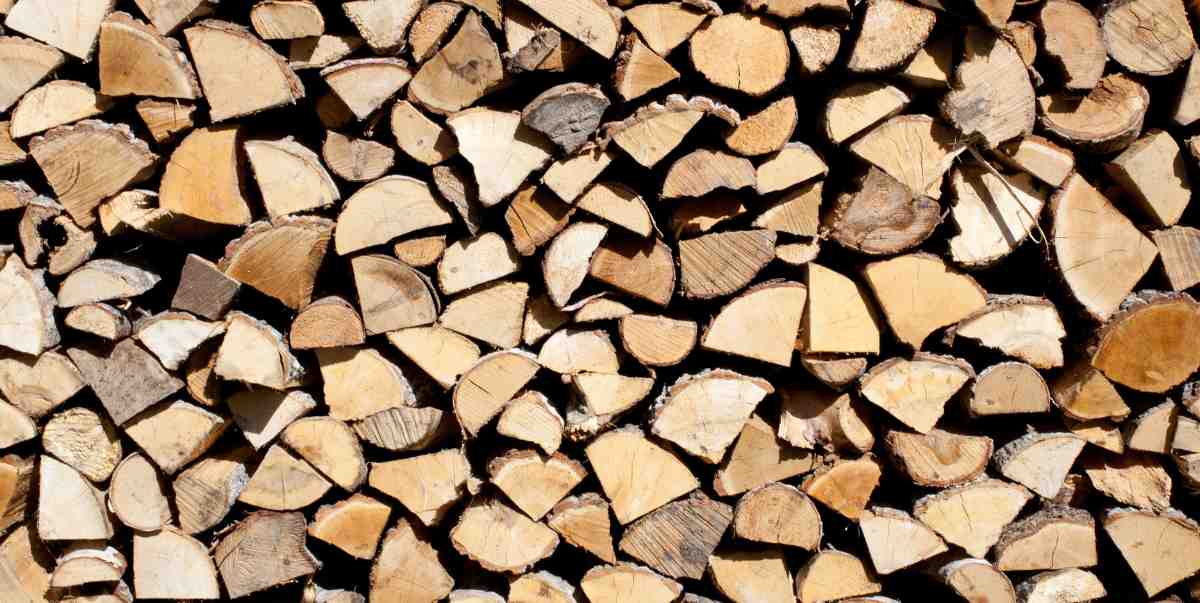 Dry Wood