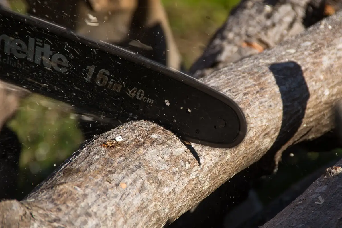 A chainsaw bar cutting through a tree branch, close up
