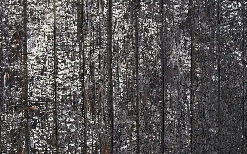 Charred wood grain from a deep burn mark Close-up of charred, blackened wood grain showing what a deep burn mark looks like before repair