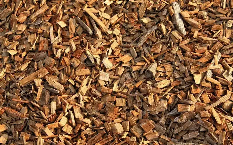 Pile of coarse wood chips like those used in a three-layer particle board core Pile of coarse wood chips like those used in a three-layer particle board core