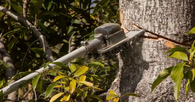 compact electric chainsaw cutting into a tree trunk outdoors