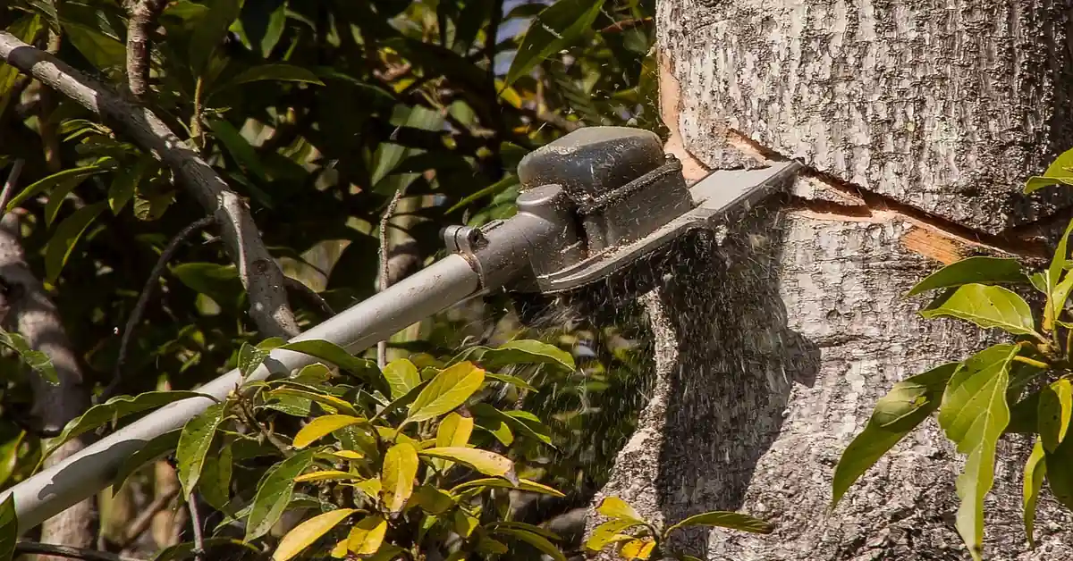 compact electric chainsaw cutting into a tree trunk outdoors