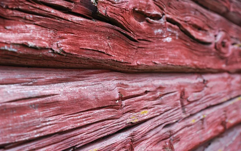 Weathered wood plank showing surface checking cracks Close-up of a weathered wood plank with surface checking cracks running along the grain