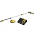 Dewalt 20V cordless pole saw