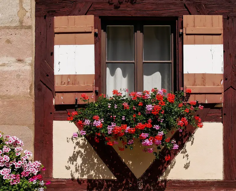 DIY wood window flower box mounted below wooden shutters and filled with geraniums