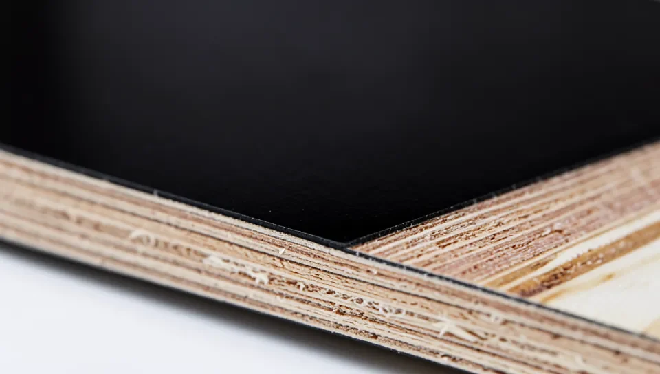 Close-up of the cut edge of black film-faced plywood showing the phenolic film layer over the veneer core