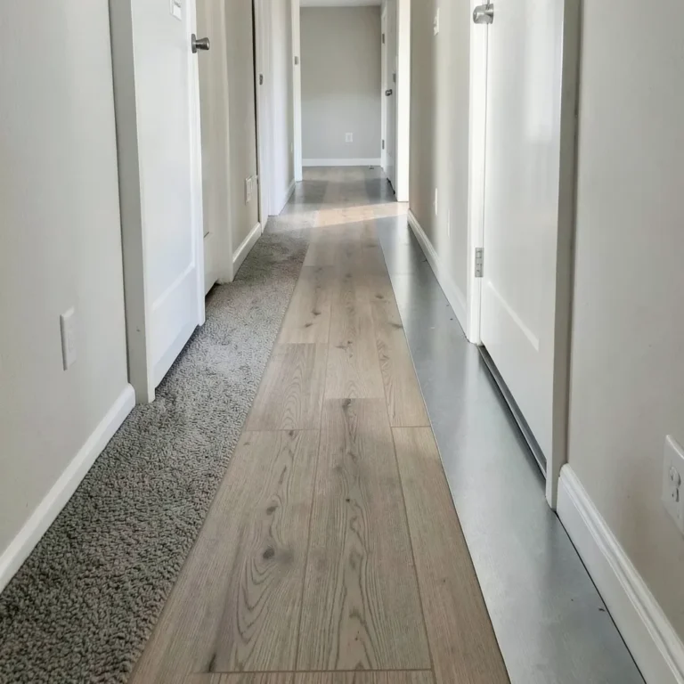transition strip bridging vinyl plank flooring and carpet in a hallway