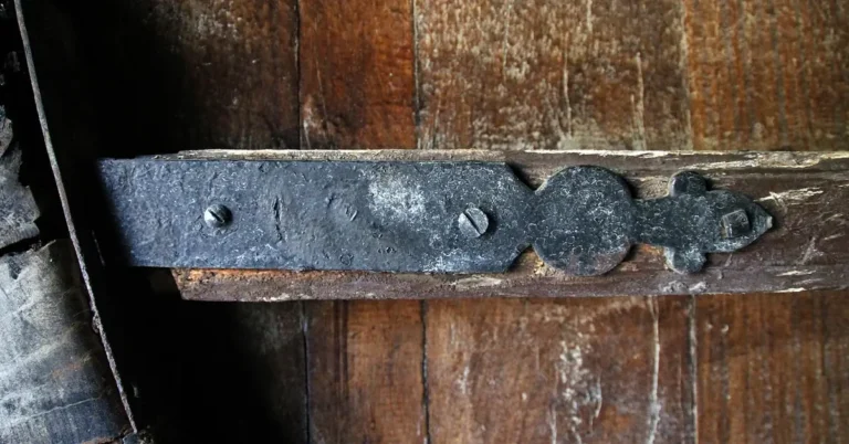 Iron hinge strap screwed into an old wooden door