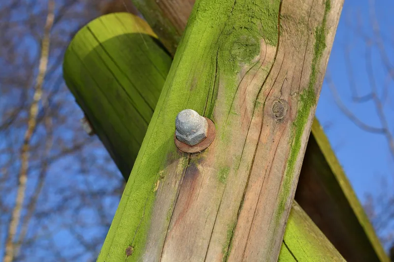 Moss-covered wooden post held with a bolt in a damp outdoor structure