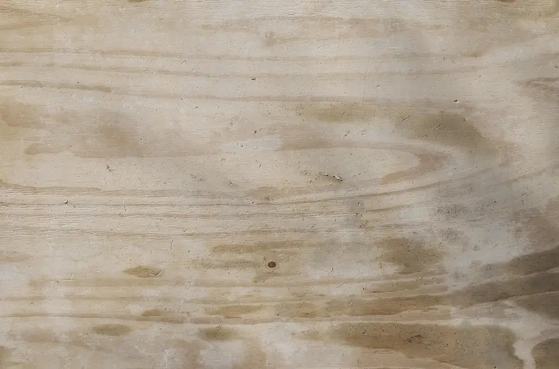 Weathered plywood panel surface of the kind used as a concrete form face